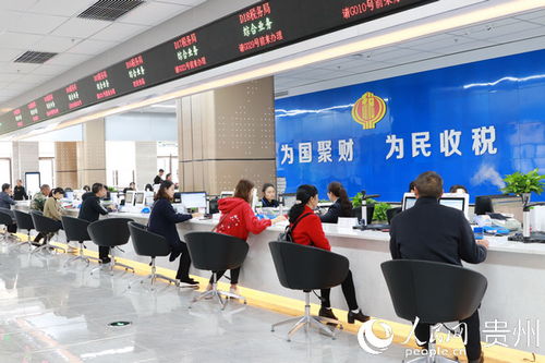 清镇市政务服务新突破 九成以上事项全程网办，实现零跑腿便捷服务